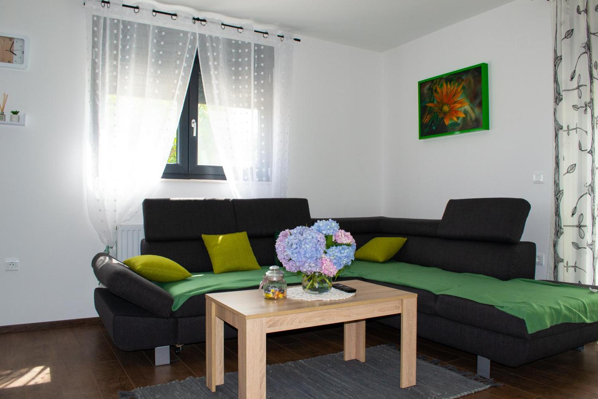 Kraljeva Hiza - Apartmani I Sobe Kralj Sveti Martin Na Muri Exterior photo